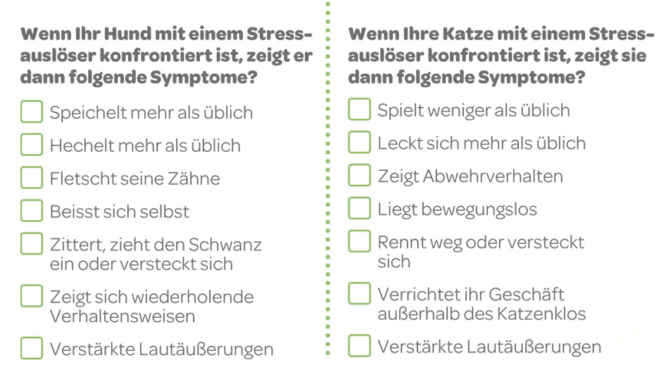 Anxitane Checkliste.jpg