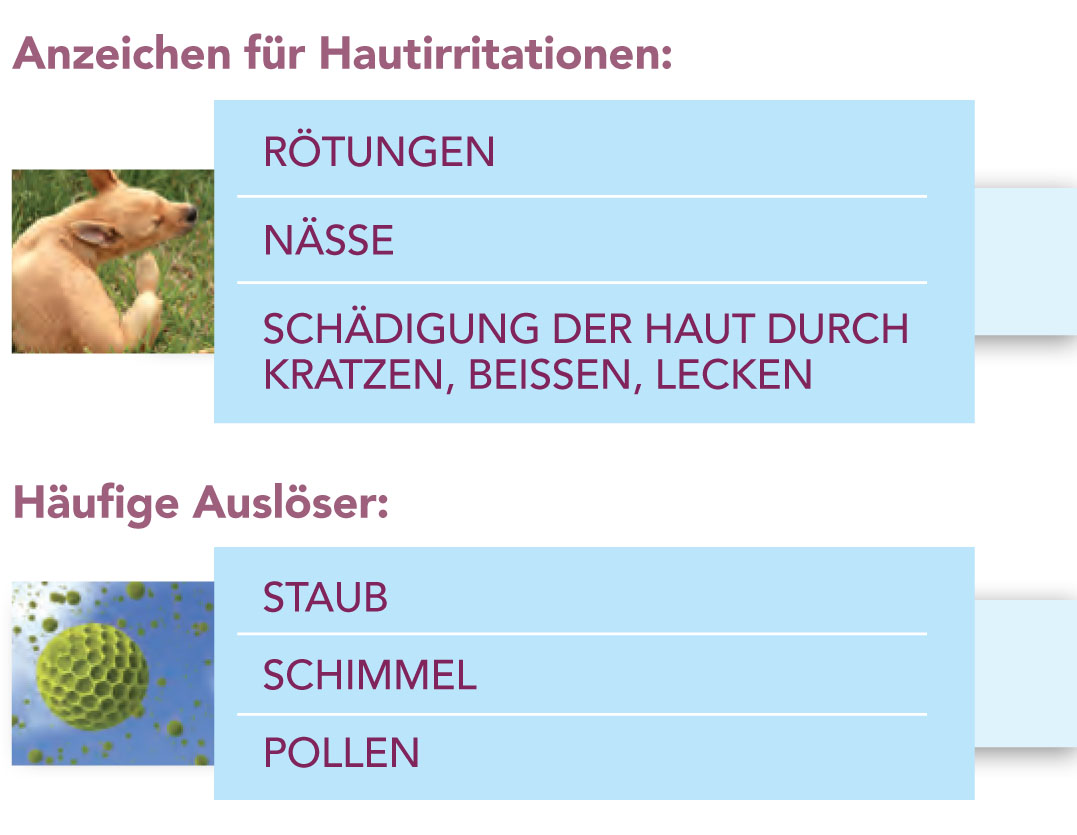 Anzeichen und Auslöser.jpg