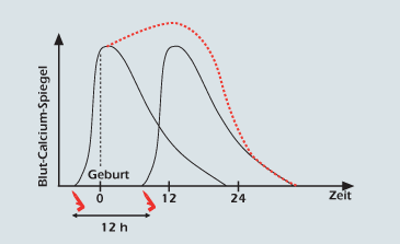 Blut-Calcium-Spiegel.png