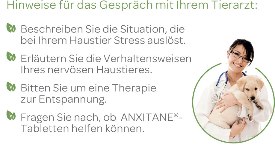 Gespräch mit dem TA.jpg