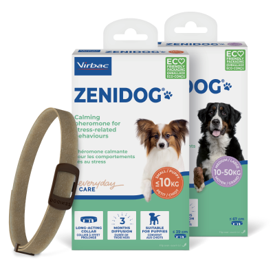 Zenidog_Family-packshot_face 1.png