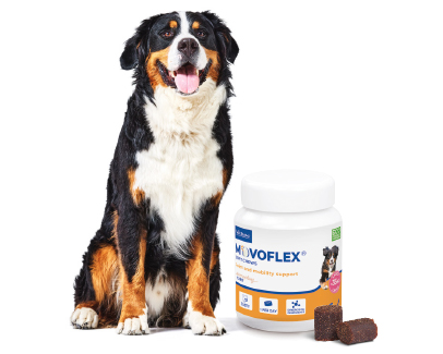 MOVOFLEX Soft Chews for dogs Virbac