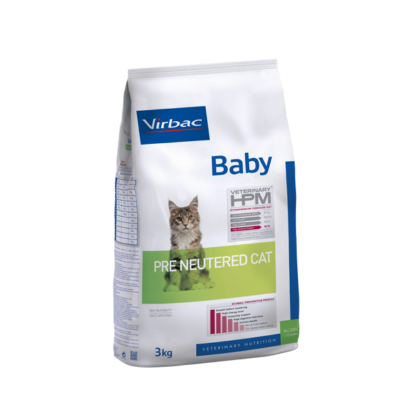 Alleinfutter Fur Katzenwelpen