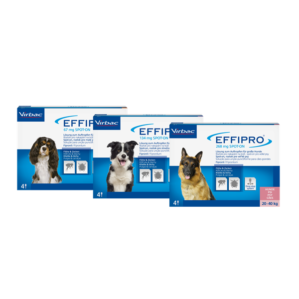 Effipro - Das Flohmittel für Hund Katze - Effektive Flohbekämpfung